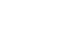 Professional Shopify Development Services